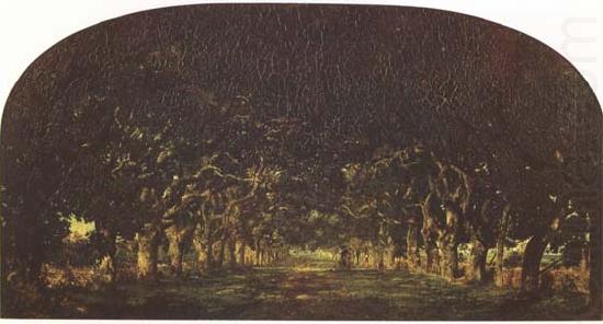 Theodore Rousseau The Chestnut Avenue (mk09) china oil painting image